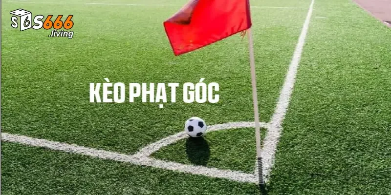 Kèo Phạt Góc S666 Là Gì Cùng Những Kinh Nghiệm Đặt Cược Hữu Ích 2 Tìm hiểu cách chơi kèo phạt góc S666 là gì