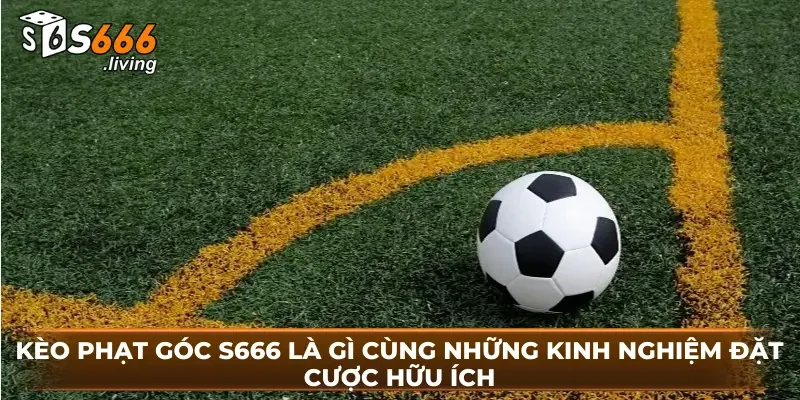 Kèo Phạt Góc S666 Là Gì Cùng Những Kinh Nghiệm Đặt Cược Hữu Ích