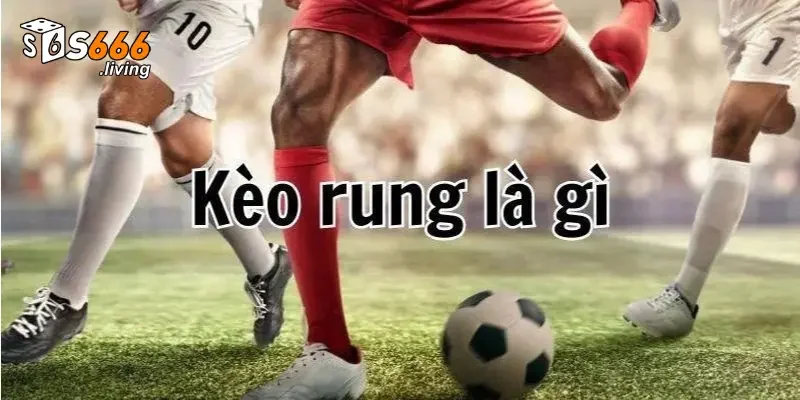 Kèo Rung S666 Là Gì? Cách Đọc Kèo Rung Bóng Đá Hiệu Quả 2 Kèo rung S666 là gì?