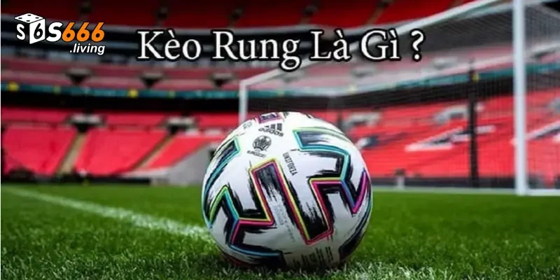 Kèo Rung S666 Là Gì? Cách Đọc Kèo Rung Bóng Đá Hiệu Quả 3 Mẹo chơi kèo rung S666 hiệu quả